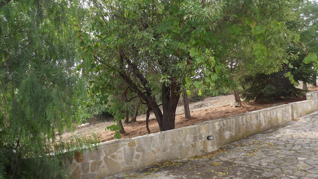 Villa Apollonia B&B Monopoli Dış mekan fotoğraf