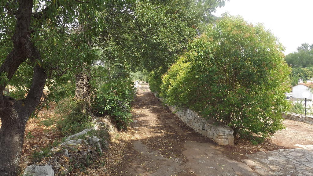 Villa Apollonia B&B Monopoli Dış mekan fotoğraf